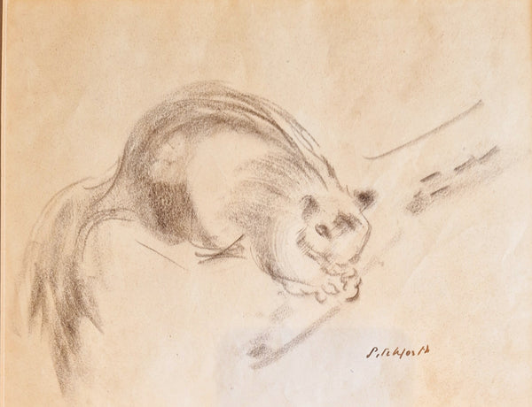 Squirrel on a Branch Drawing c1940s by Vivian Pitchforth RA