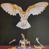 Greeting Card Collection by Jane Ford Cards from Barewall Art Gallery