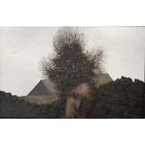 Head and Tree 1968 Oil by Jack Simcock Original Art from Barewall Art Gallery