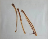 Strawing III 1970 by Sandra Blow RA Original Art from Barewall Art Gallery