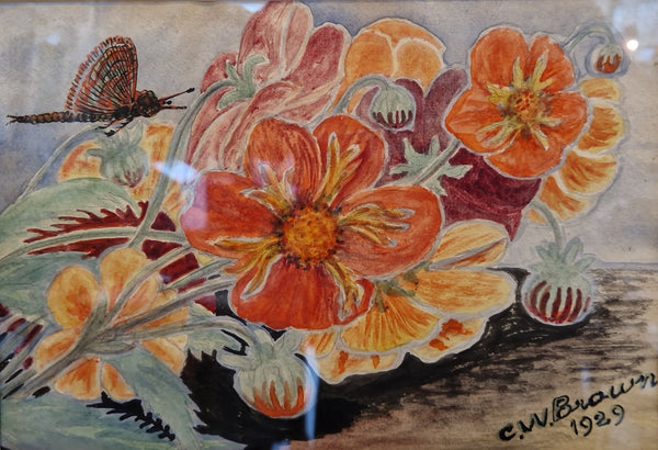 Flowers and Dragonfly Watercolour 1929 by CW Brown