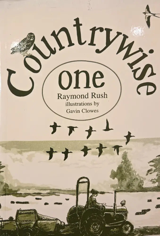 COUNTRYWISE ONE book by Raymond Rush Illustrations by Gavin Clowes 1997 ...