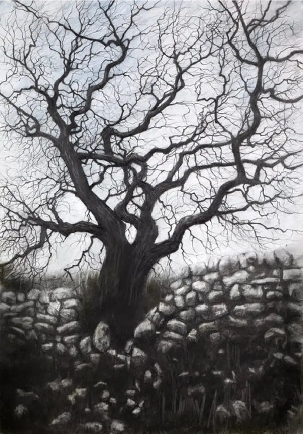DB2474 Moorland Tree A5 signed ltd edition print by David Brammeld Print from Barewall Art Gallery
