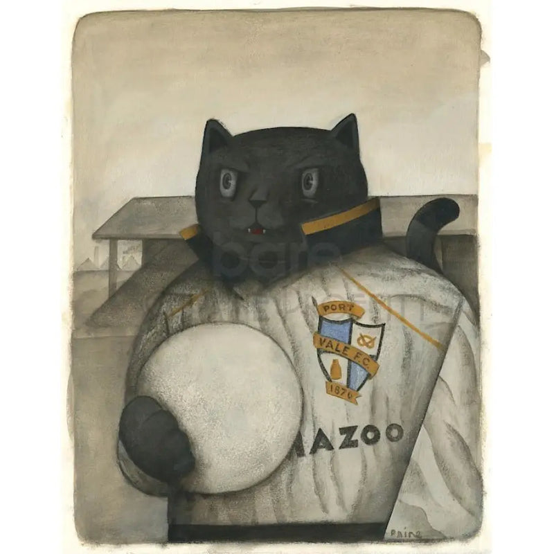 Port Vale Gift - Port Vale Vale Cat Ltd Edition Signed Football Print Print from Barewall Art Gallery