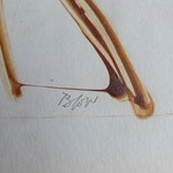 Strawing III 1970 by Sandra Blow RA