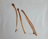 Strawing III 1970 by Sandra Blow RA