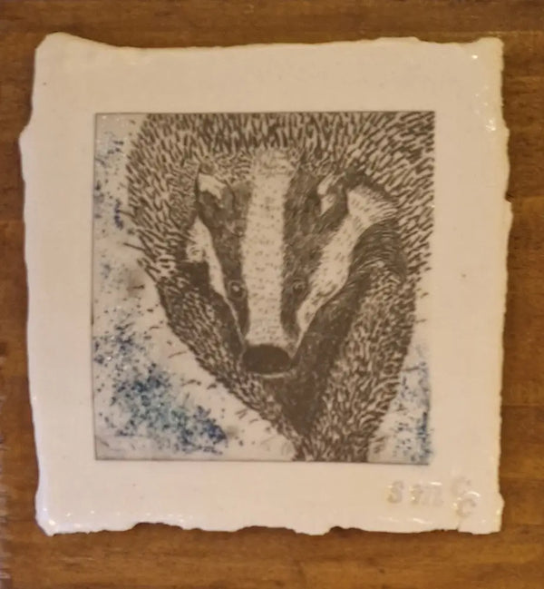 SMP British Wildlife - The Badger print on Clay 2024 by Shauna McCann Ceramics from Barewall Art Gallery