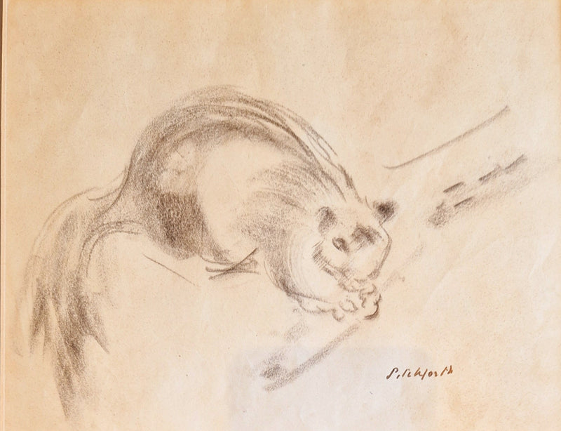 Squirrel on a Branch Drawing c1940s by Vivian Pitchforth RA by Barewall