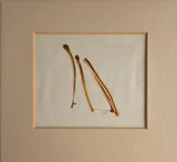 Strawing III 1970 by Sandra Blow RA Original Art from Barewall Art Gallery