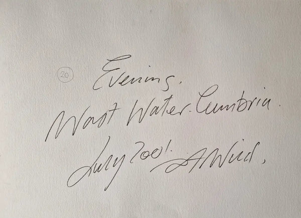 TW2 Evening, Wast Water Cumbria 2001 by Tony Wild Original Art from Barewall Art Gallery