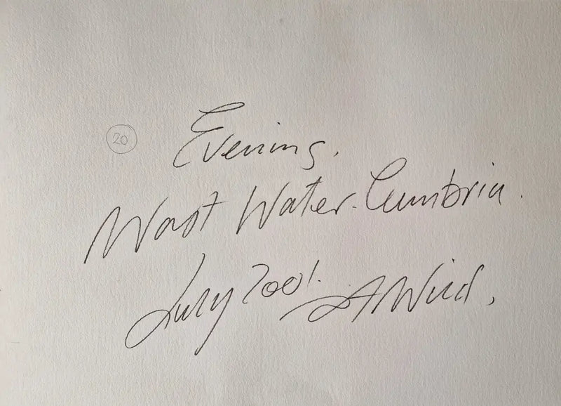 TW2 Evening, Wast Water Cumbria 2001 by Tony Wild Original Art from Barewall Art Gallery