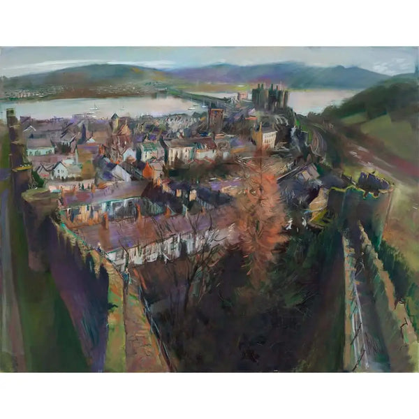 View from the Watch Tower, Conwy 2014 by Rob Pointon Original Art from Barewall Art Gallery
