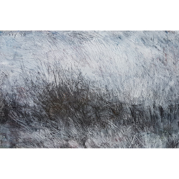 Hedge in Winter 1990 by Arthur Berry