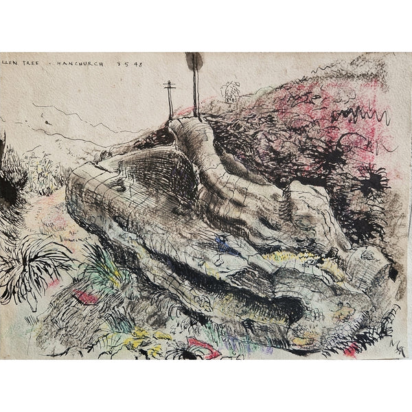 MH3 Fallen Tree at Hanchurch 1948 by Michael Holt