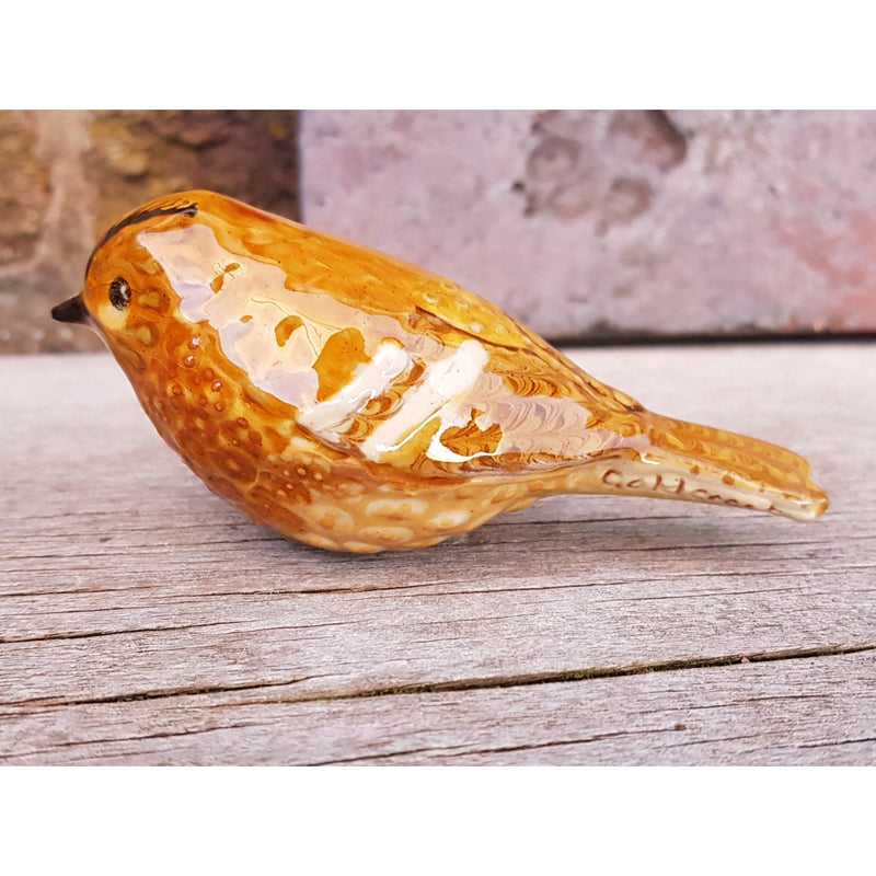 The Goldcrest Slipware Ceramic British Bird by Carole Glover