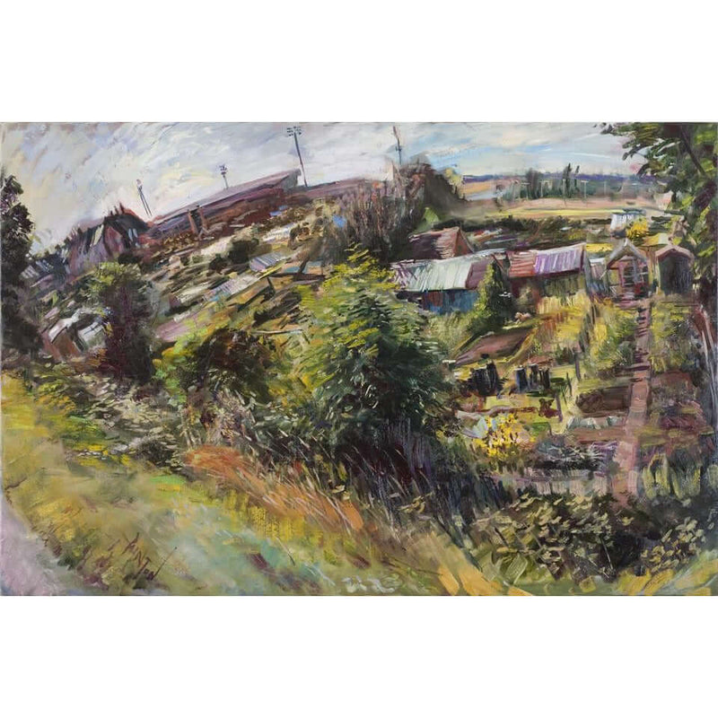 Dolly Lane Allotments by Rob Pointon