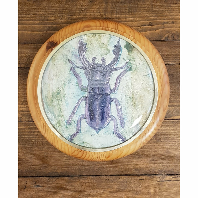 Stag Beetle Framed 2021 by Philip Hardaker
